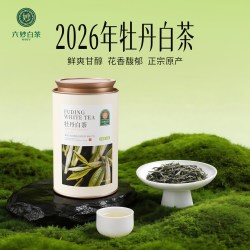 六妙 白茶2026年一级白牡丹新茶福鼎白茶口粮茶叶罐装50g