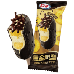 五羊牌 黑金凤梨金玉巧巧流金蓝莓脆皮冰淇淋 2310g