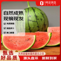 移动端、京东百亿补贴：1号会员店 山东吊秧手剥西瓜 1枚 净重3斤+ 一藤一瓜