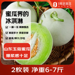 1号会员店 山东冰淇淋玉菇甜瓜 蜜瓜 2枚 净重6-7斤