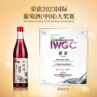 通明山 青梅果酒
