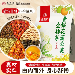 九芝堂 金银花蒲公英金桔茶 100g（5g*20）