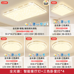 雷士 吸顶灯轻奢满天星全光谱护眼智能客厅灯 四室一厅（特权金延保2年）