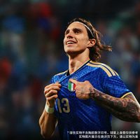 adidas/阿迪达斯 意大利国家队世界杯主场球员版速干短袖球衣