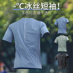 Alen Botun 冰丝速干t恤男夏季薄款透气运动短袖跑步上衣健身衣服训练服新款 蓝色 L