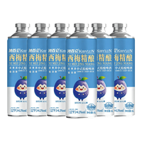 沁百仑 西梅精酿白啤酒 1L×6罐