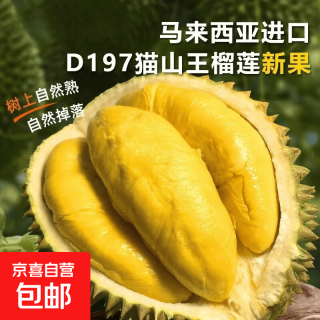 猫山王 马来西亚进口榴莲 D197 4.5斤-5斤 1颗