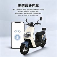 台铃 星河2025 60V大功率长续航 电动踏板车
