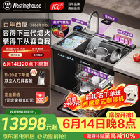 西屋电气 西屋集成水槽洗碗机气爆洗超声波果蔬清洗家用双层嵌入式碗柜14套洗碗机一体机 JCX-E8LMAX-1000