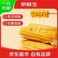 移动端、京东百亿补贴：京鲜生 东北黄糯玉米250g*10棒 新鲜甜糯玉米棒真空包装粘玉米 源头直发