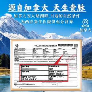 关德兴 西洋参礼盒