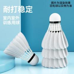 Wellhouse 耐打羽毛球 防风稳定飞行比赛娱乐训练初学者精准专用球