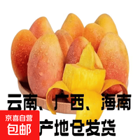 贵妃 彩虹 海南 贵妃芒果 8.5斤