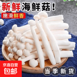 京喜加 新鲜海鲜菇基地直发 出口品质（鲜嫩海鲜菇） 净重100克