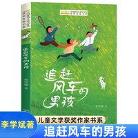 追赶风车的男孩 李学斌著
