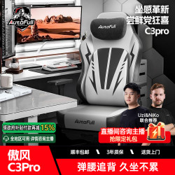 AutoFull 新品C3pro腰托升级透气不闷汗游戏久坐不累四色可选