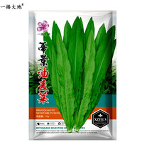 一播大地 油麦菜种子 10g