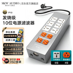 SKW Hi-Fi级 音箱专用电源滤波器 智能净化过滤防雷 220v万用美标插座/插线板/排插/CD功放接线板 P10