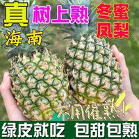 百亿补贴：冠町 海南冬蜜凤梨 3斤 单果1.4斤起