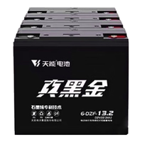 天能T3真黑金石墨烯电动车电池48V60V72V20A雅迪电动二轮车电池电瓶 真黑金48V13.2AH(4只)
