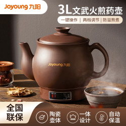 九阳 中药壶煎药壶自动家用药罐电砂锅熬药锅中医养生壶陶瓷GD111