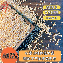 精选大麦仁 天然健康粗粮早餐营养粥