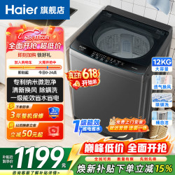 海尔 波轮洗衣机12公斤全自动DD直驱变频 一级能效AI智洗大容量家用 电离除菌 桶自洁
