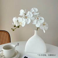 花点馨意 仿真花 蝴蝶兰 7头 白色 1支