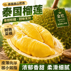 蒲恋 泰国金枕榴莲 带壳鲜果 2.5-3.5斤 3-4房