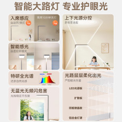 孩视宝 E1 全光谱红光护眼 100W 立式大路灯
