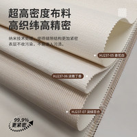 Royal Roland HJ237加厚墙布