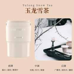 车载香薰高级感香氛摆件香水