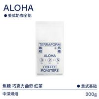 TERRAFORM COFFEE ROASTERS 太妃糖焦糖中深烘焙意式拼配美式现磨粉拿铁奶咖摩卡壶咖啡豆 200g