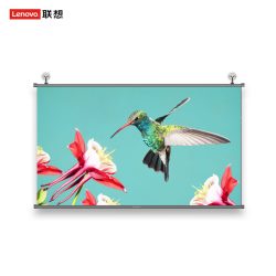 联想 投影仪悬挂幕布通用100英寸免打孔高清壁挂投影幕布
