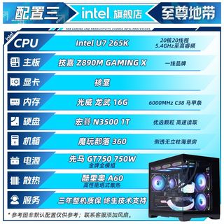 至尊地带 270K/265K/250K/225F核显准系统无卡电竞游戏主机