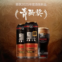青岛啤酒 黑啤 500ml*12听