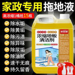 家贝美地板清洁剂2.5L地板砖瓷砖清洁剂拖地专用强力去污地板清洗剂液