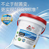 德高 RGIII有机氢化桶装水性彩砂 莹润烟云白 1.5kg 美缝剂