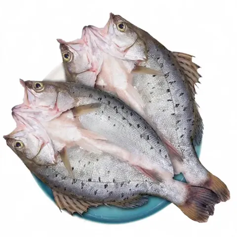 鲜京采 三去白蕉海鲈鱼3斤