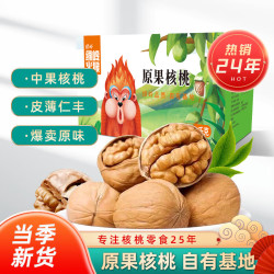绿岭火猴 薄皮原味生核桃非纸皮散装生核桃坚果干果 1kg原果