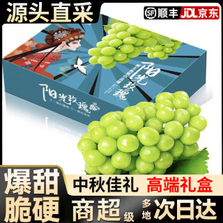 元珍鲜诚 阳光玫瑰葡萄 4斤精选果 单果8-12g