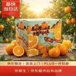 京鲜生 十八臻橙 铂金果 3kg 礼盒装