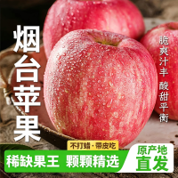 正鲜季 冰糖心 苹果 果径85mm-90mm