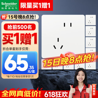 施耐德 开关插座面板 皓呈升级款 家用86型墙壁电源插座 皓隽斜五孔10只