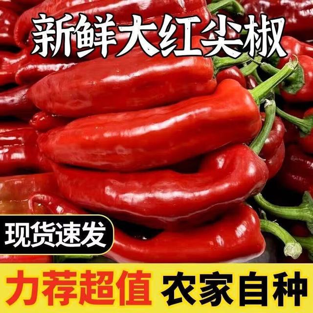 山东 超实惠 国产新鲜红尖椒 2斤