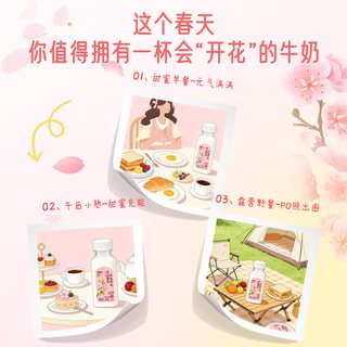 李子园 关山樱花牛奶