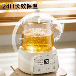 志高 全玻璃小型养生壶