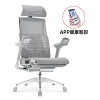 Ergonor/保友办公家具 POFIT 2代 人体工学电脑椅
