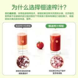 Hurom 原汁机榨汁机料理机家用渣汁分离大口径韩国原装进口1005