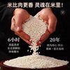 吴越斋鲜肉粽